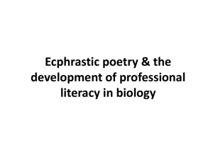 What is ecphrastic poetry?