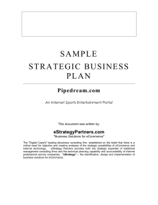 SAMPLE STRATEGIC BUSINESS PLAN