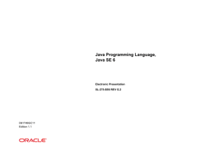 Java Programming Language, Java SE 6 - MIAGE