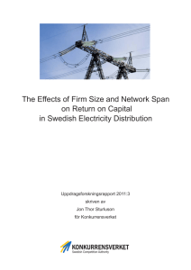 The Effects of Firm Size and Network Span on