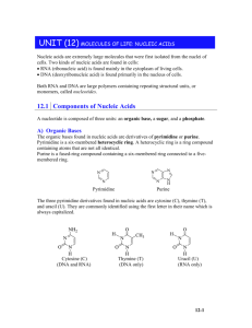 Unit (12) Molecules Of Life
