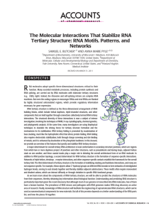The Molecular Interactions That Stabilize RNA Tertiary Structure