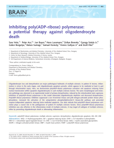 Inhibiting poly(ADP-ribose) polymerase: a potential therapy against
