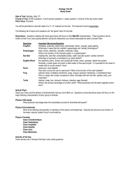 Grasshopper dissection study guide answers