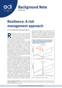 Resilience: A risk management approach