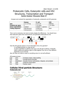 Prokaryotic Cells, Eukaryotic cells and HIV: Structures, Transcription