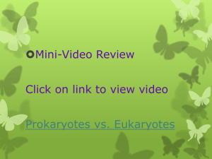 1-Prokaryote vs Eukaryote