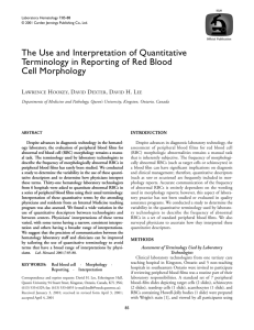 The Use and Interpretation of Quantitative Terminology in Reporting