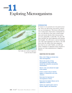Lesson 11: Exploring Microorganisms