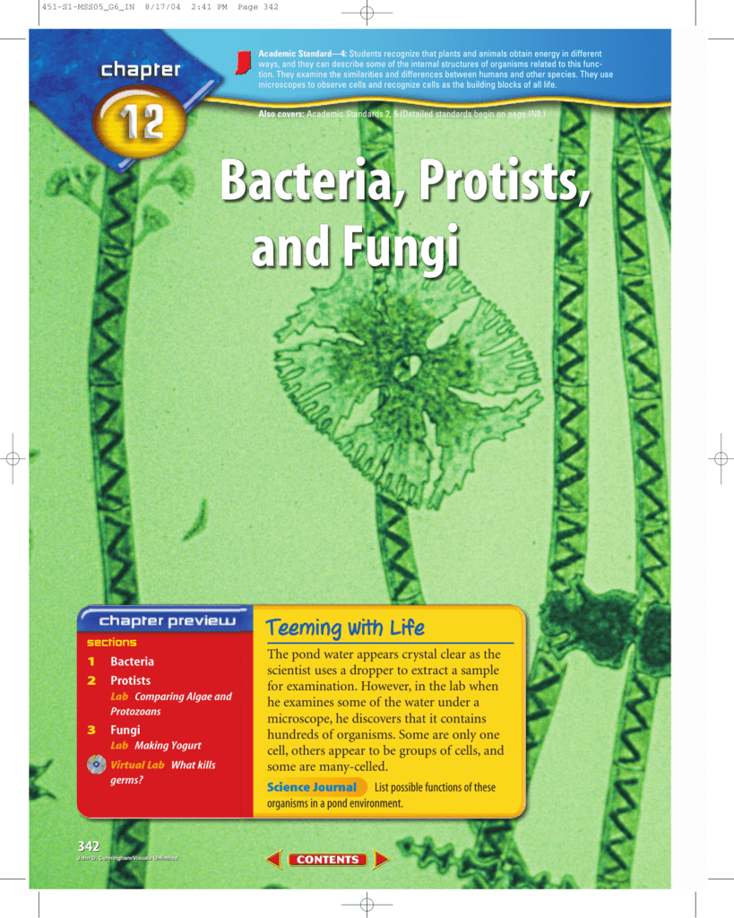 chapter-12-bacteria-protists-and-fungi