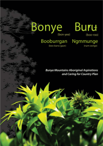Bunya Mountains Aboriginal Aspirations and Caring for Country Plan