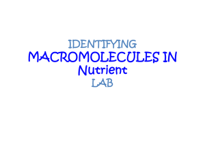 Identifying Macromolecules In Food Lab