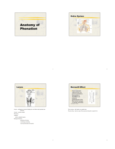 4. Anatomy of Phonation