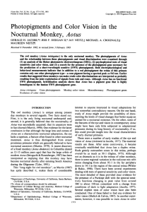 Photopigments and Color Vision in the Nocturnal Monkey