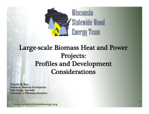 Case Study of Large Scale Wood Energy Projects