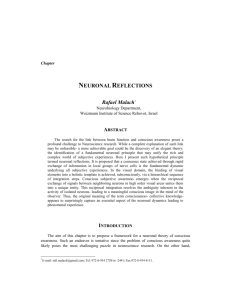 Neuronal Reflections - Weizmann Institute of Science