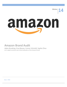 Amazon Brand Audit