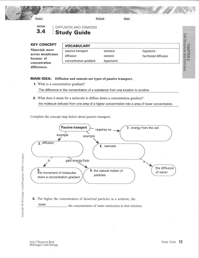 complete the concept map below about passive transport Study Guide Science With Ms Ortiz complete the concept map below about passive transport