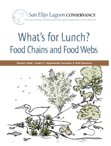 Food Chains and Food Webs - San Elijo Lagoon Conservancy