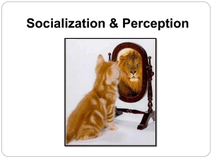 Socialization & Perception