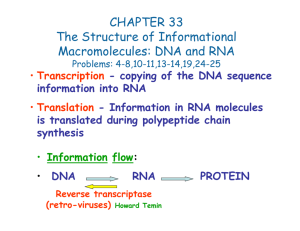 The Structure of Informational Macromolecules: DNA and RNA