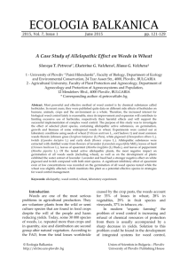 A Case Study of Allelopathic Effect on Weeds in Wheat