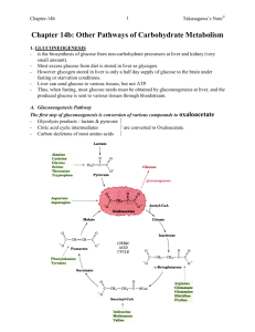 Chapter 14b: Other pathways of carbohydrate metabolism