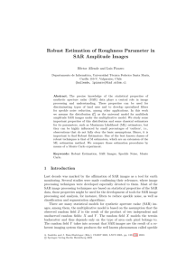 Robust Estimation of Roughness Parameter in SAR Amplitude Images