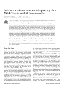 Full text  - Acta Palaeontologica Polonica
