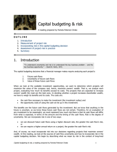 Capital budgeting and risk - it