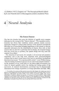 Neural Analysis