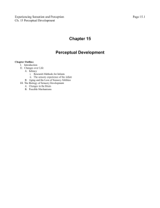 Chapter 15 Perceptual Development