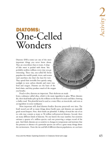 Diatoms: One-Celled Wonders