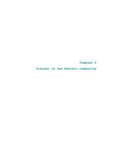 Chapter 2 Diatoms of the benthic community