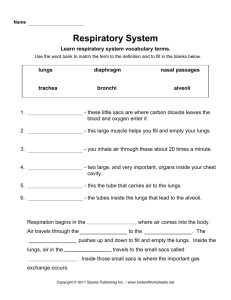 Respiratory System - Garnet Valley School District