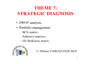 THEME 7: STRATEGIC DIAGNOSIS
