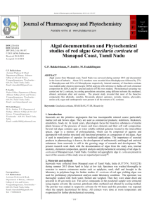 Algal documentation and Phytochemical studies of red algae