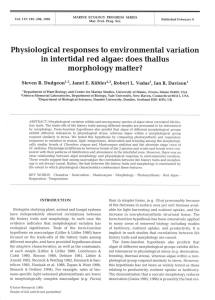 Physiological responses to environmental variation in intertidal red