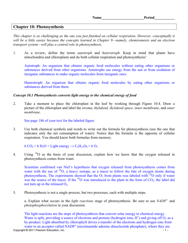 Ap Biology Chapter 10 Photosynthesis Study Guide Answer Key - Study Poster