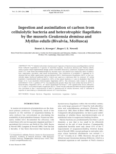 Ingestion and assimilation of carbon from cellulolytic bacteria and