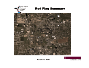 Red Flag Summary