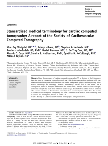 Standardized medical terminology for cardiac computed tomography