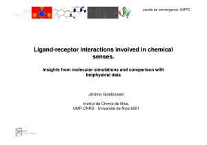 Ligand-receptor interactions involved in chemical senses. Insights