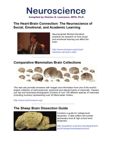 PDF File with Links to Neuroscience Web Sites
