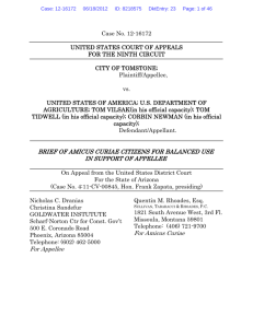 Citizens for Balanced Use Amicus Brief