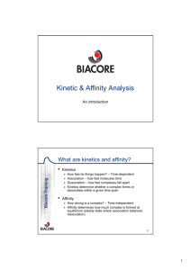 Kinetic & Affinity Analysis