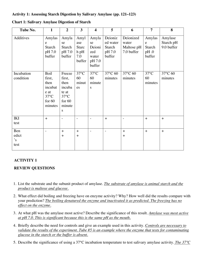 Salivary Amylase Digestion Of Starch Chart