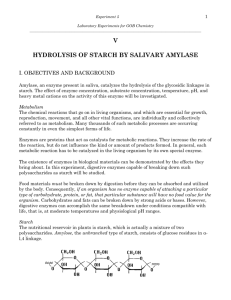 v hydrolysis of starch by salivary amylase