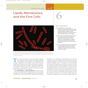 Lipids, Membranes, and the First Cells