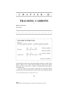 TRACKING CARBONS
